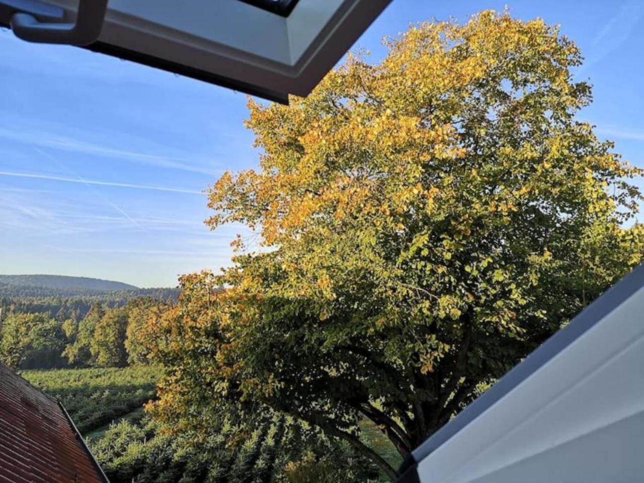 Gruene Oase Im Teutoburger Wald Apartment Georgsmarienhutte Exterior photo