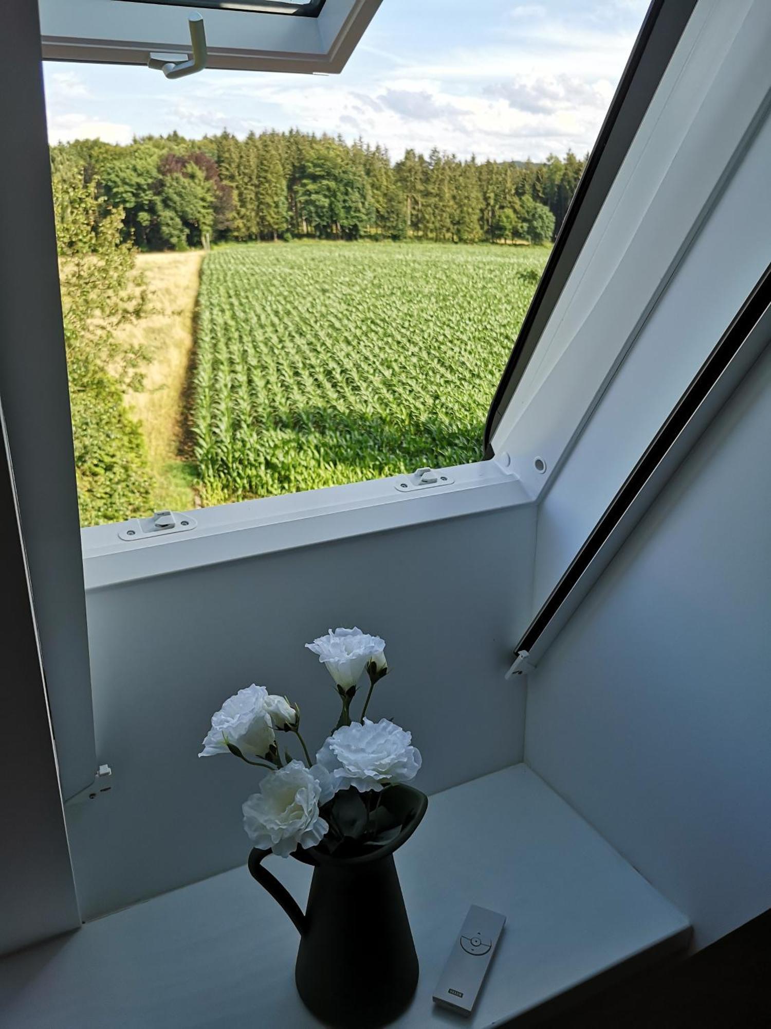 Gruene Oase Im Teutoburger Wald Apartment Georgsmarienhutte Exterior photo