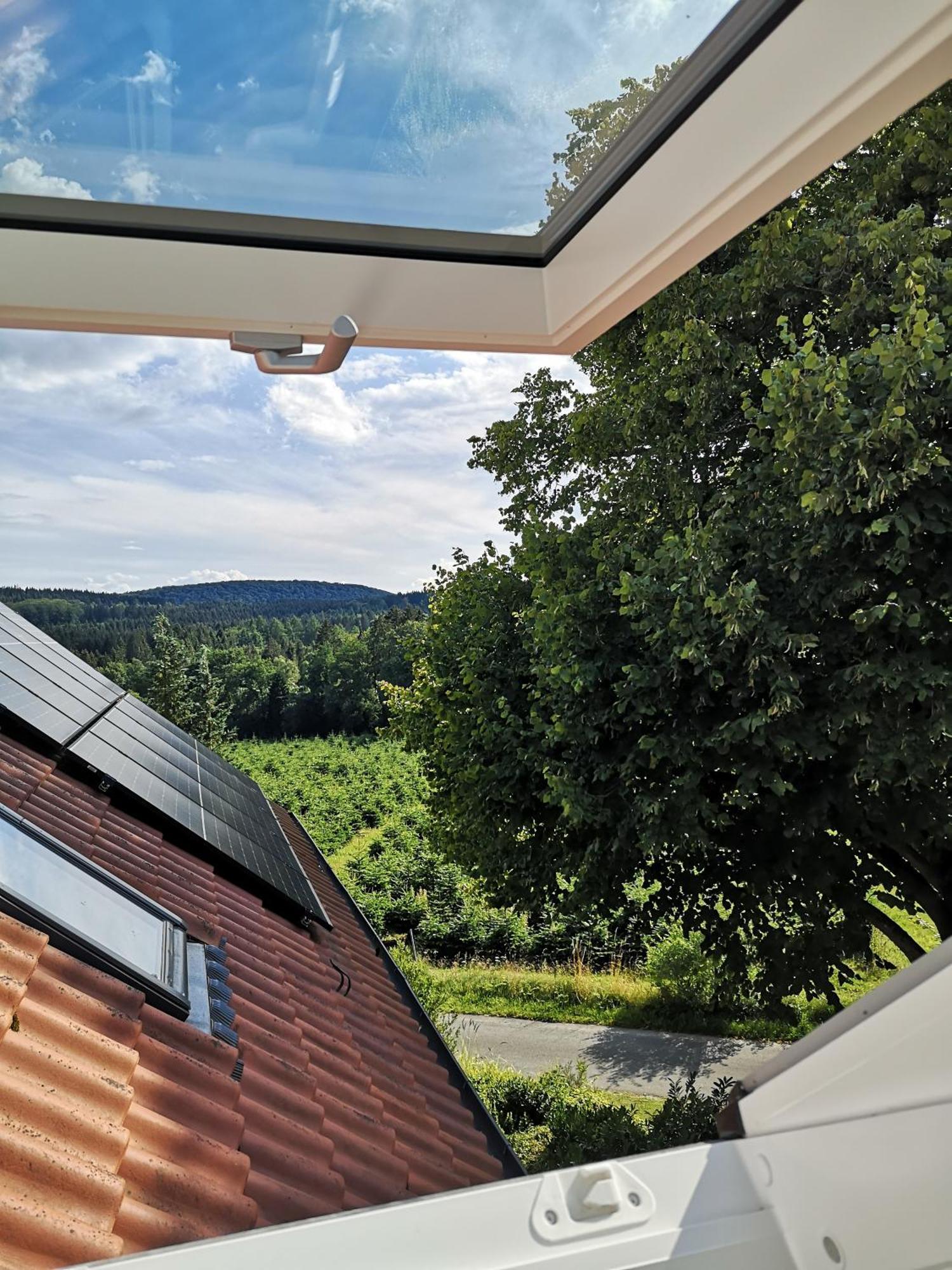 Gruene Oase Im Teutoburger Wald Apartment Georgsmarienhutte Exterior photo