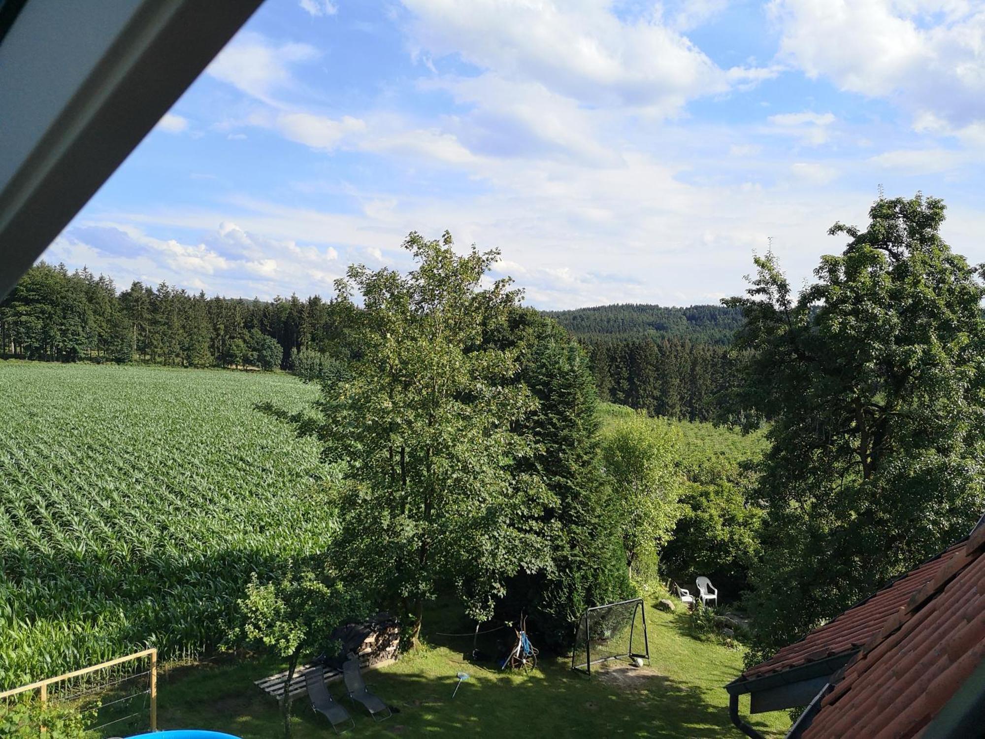 Gruene Oase Im Teutoburger Wald Apartment Georgsmarienhutte Exterior photo